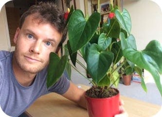igd-plant-Kit.jpg