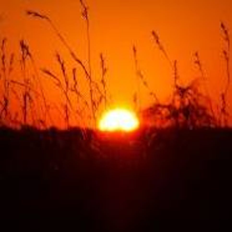 sunset