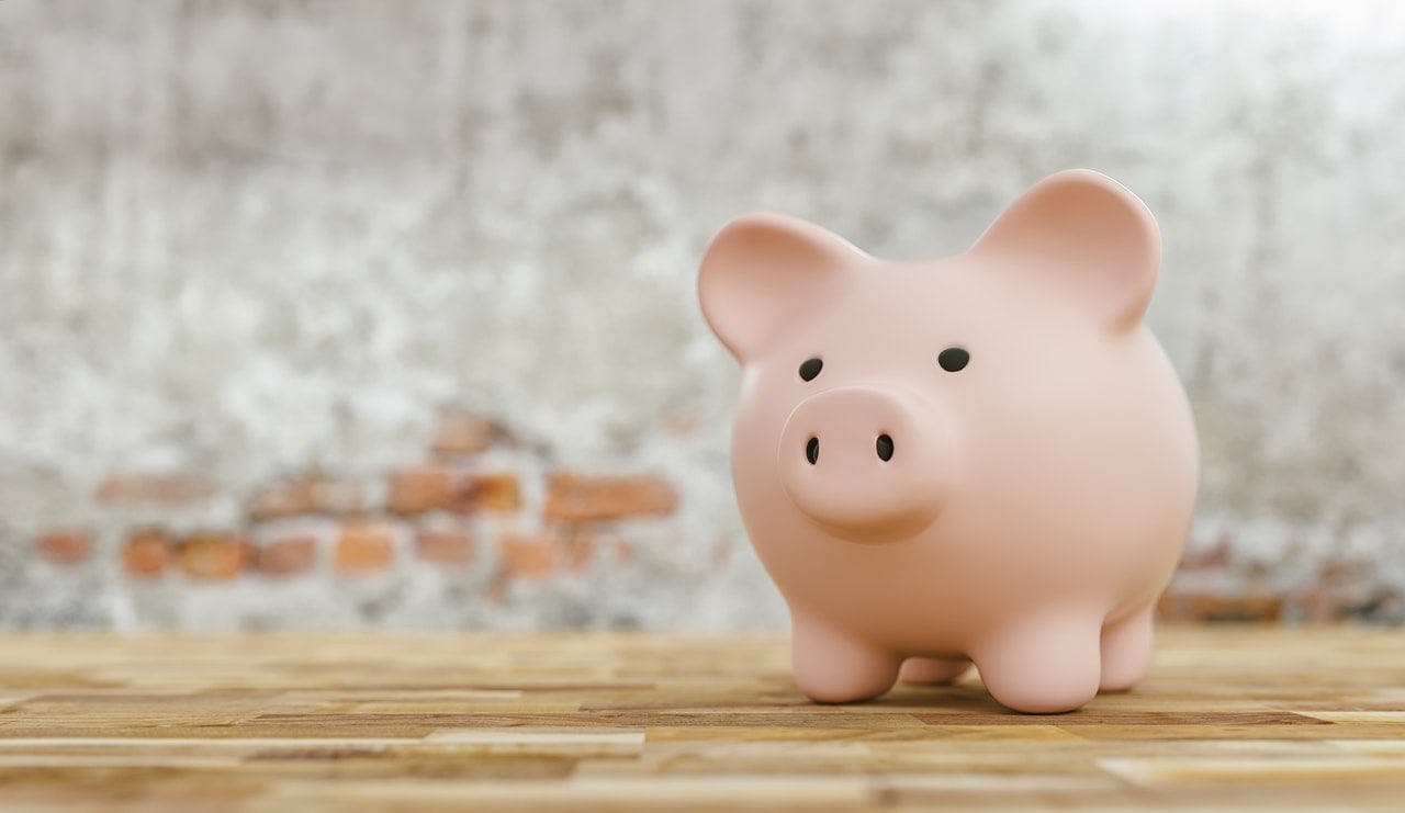 pba-pig.jpg