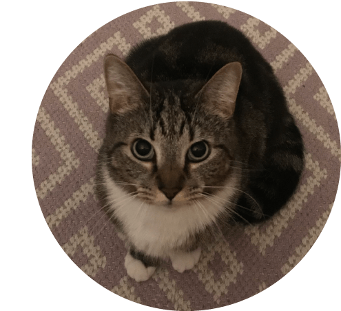 img8-12902-Pet-blog.png