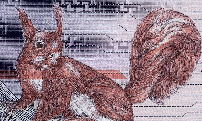 image_506709580.dmp.full.Bank note detail_New polymer 20 Artboard-3.png