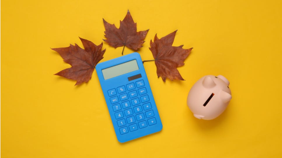 hero-homepage-autumn-moneysavers-piggy-bank-calculator.png