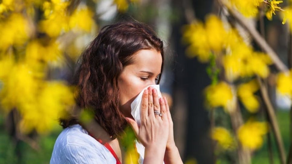 hay fever tablets