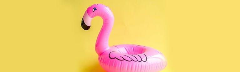 wide-blog-team-flamingo