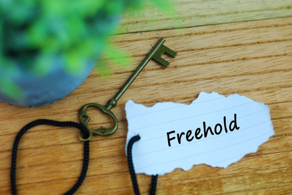 Freehold1.jpg