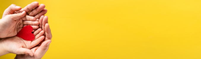 igd-life-insurance-hands-heart-yellow-bright.png