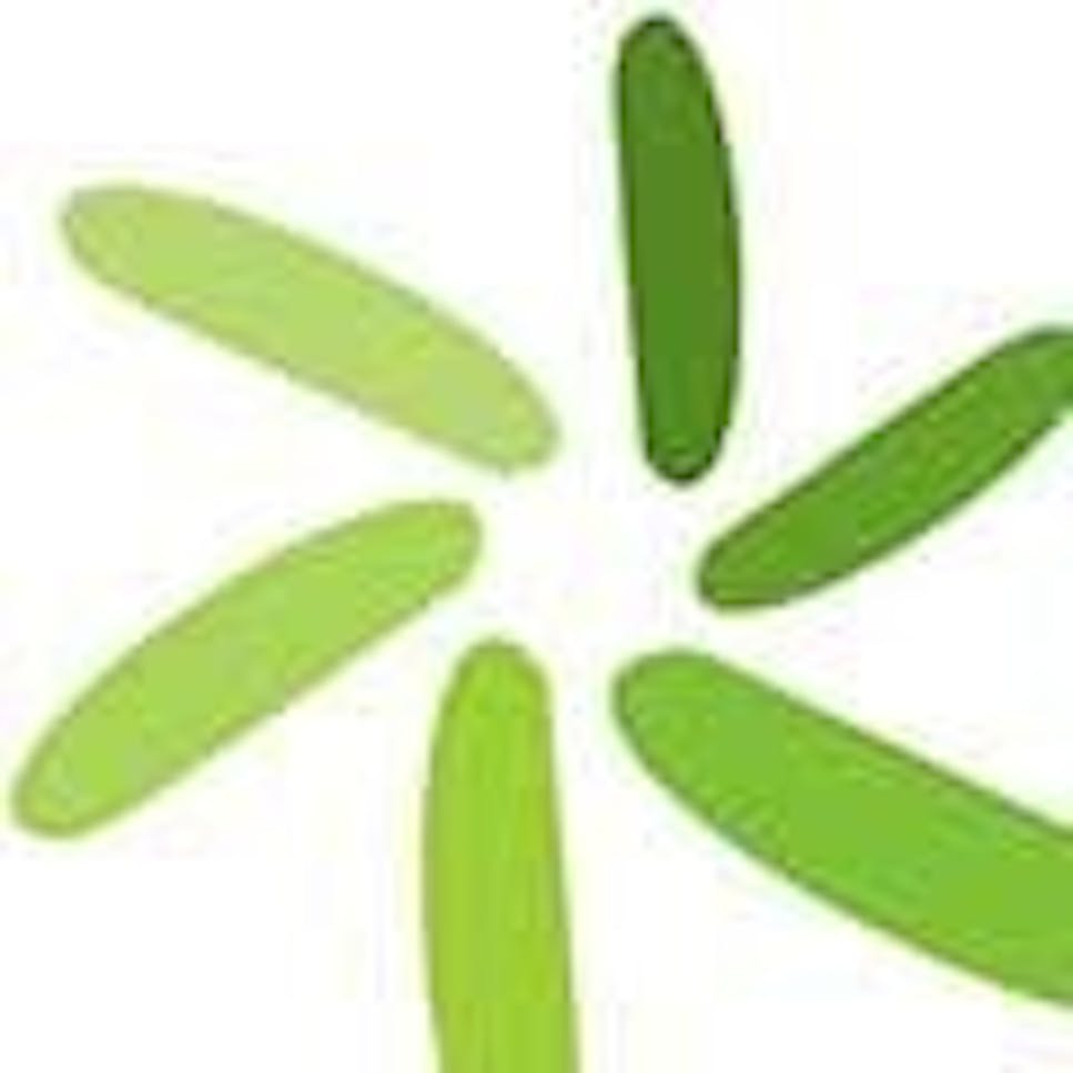 rhs-greenstarenergy