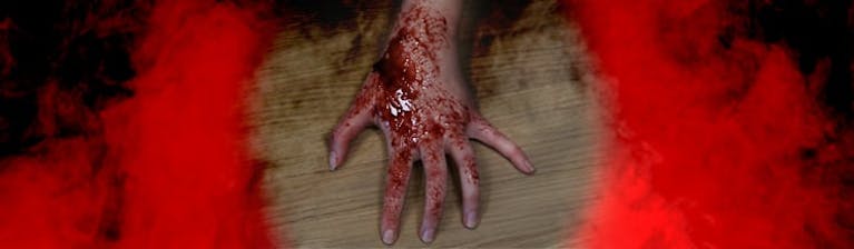 fakebloodblogheader