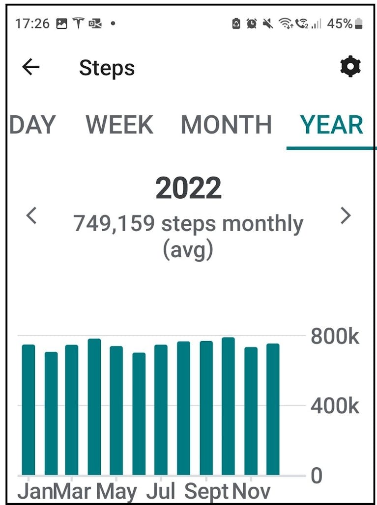 Screengrab of Martin's fitness tracker, showing his 2022 stats, with a monthly average of 749,159 steps.