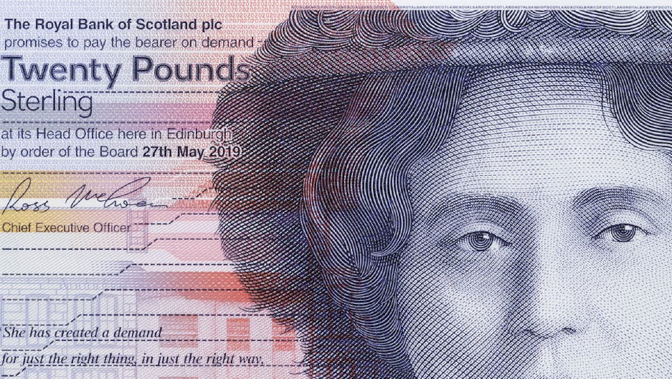 image_1952602141.dmp.full.Bank note detail_New polymer 20 Artboard-2.png