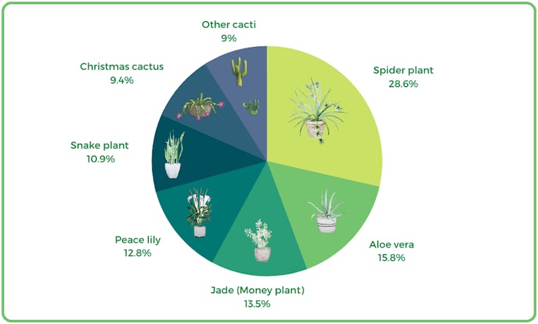 houseplants-easy-chart.png