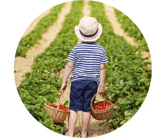 15279-kids-summer-magic-blog-img-05.png