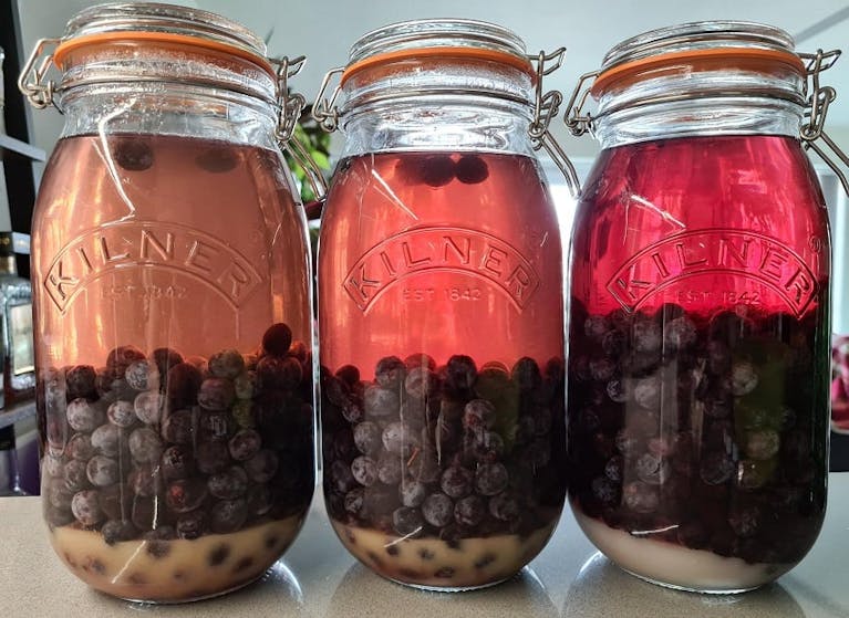 sarah-homemade-gin.png