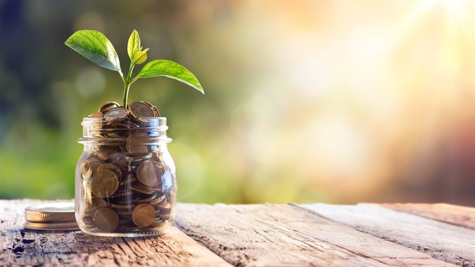 hero-homepage-lifetime-isa-savings-coins.jpg