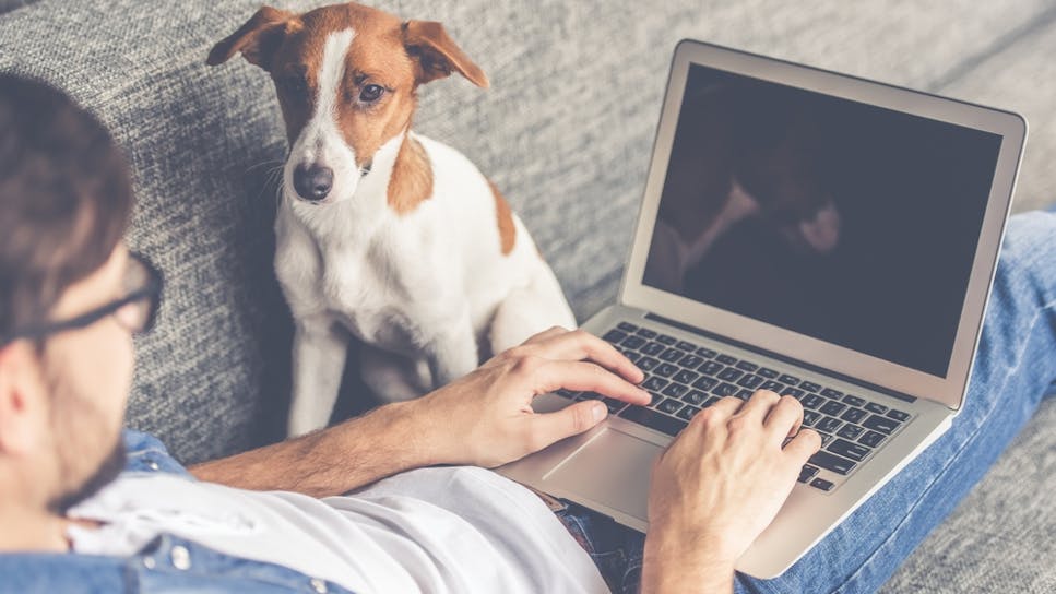 hero-homepage-broadband-laptop-dog.jpg