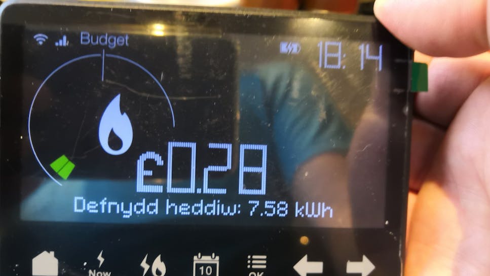 Bulb Welsh.png