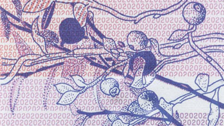 image_1750891437.dmp.full.Bank note detail_New polymer 20 Artboard-4.png