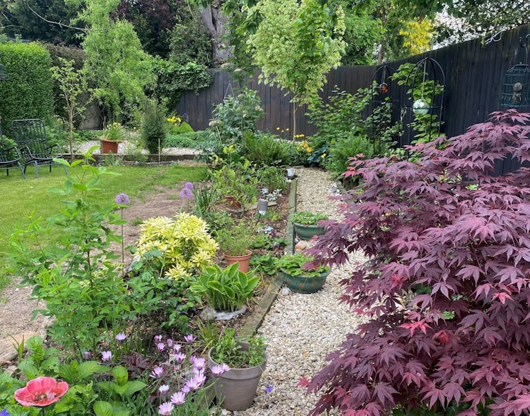 Image of Forumite's garden