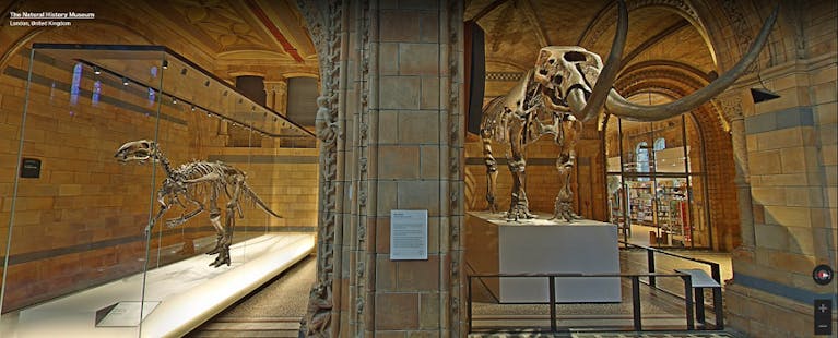 Natural-History-Museum-virtual.png