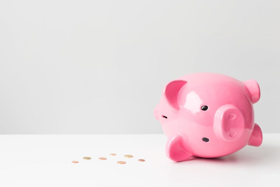 hero-igd-investing-for-beginners-piggy-bank-broken-empty-lost-lose-money-cash.jpg