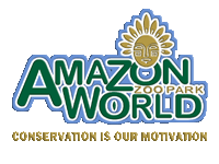 amazon-world-logo.gif