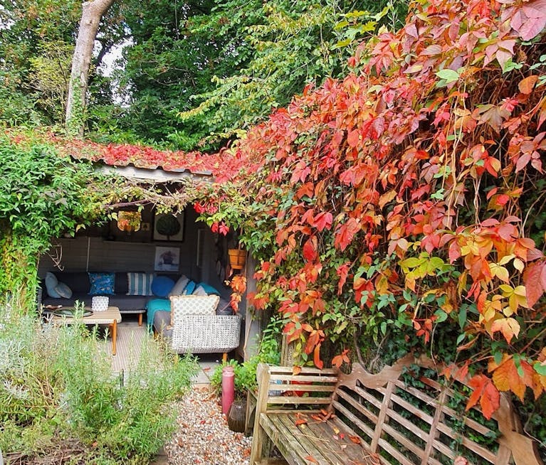 A courtyard with a covered seating area and a wall covered with a red, orange and green climbing plant